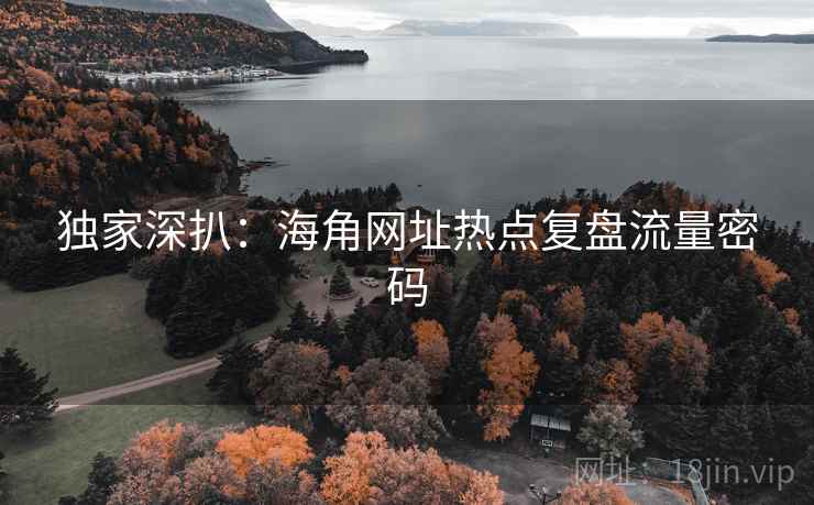 独家深扒:海角网址热点复盘流量密码